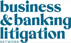 Business & Banking Litigation Network